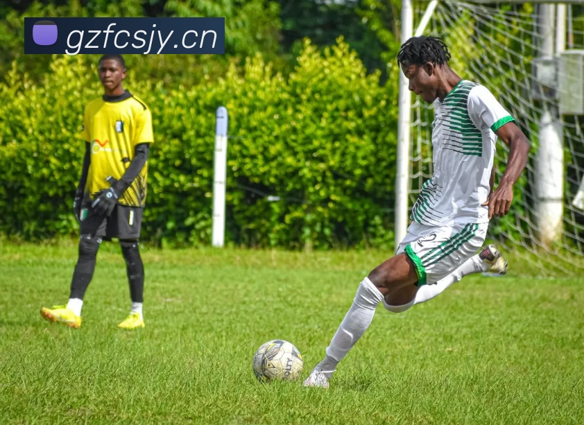 D体育 - D体育(中国)官方在线APP 高清赛事图